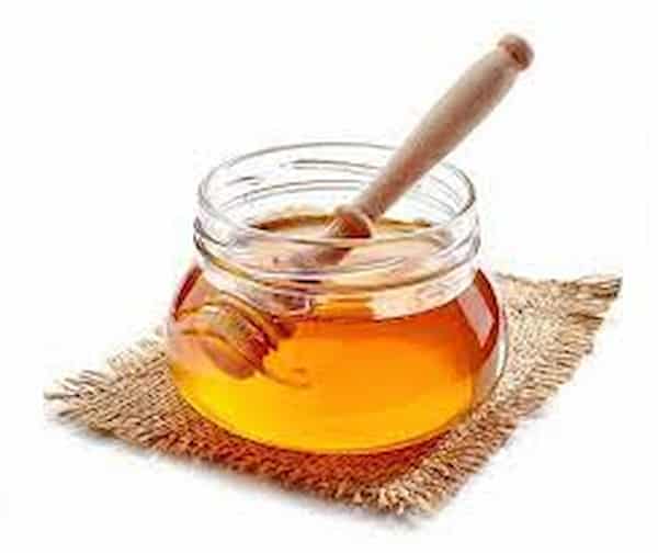 تصویر 3 از خرید عسل آویشن کوهی + قیمت فروش استثنایی